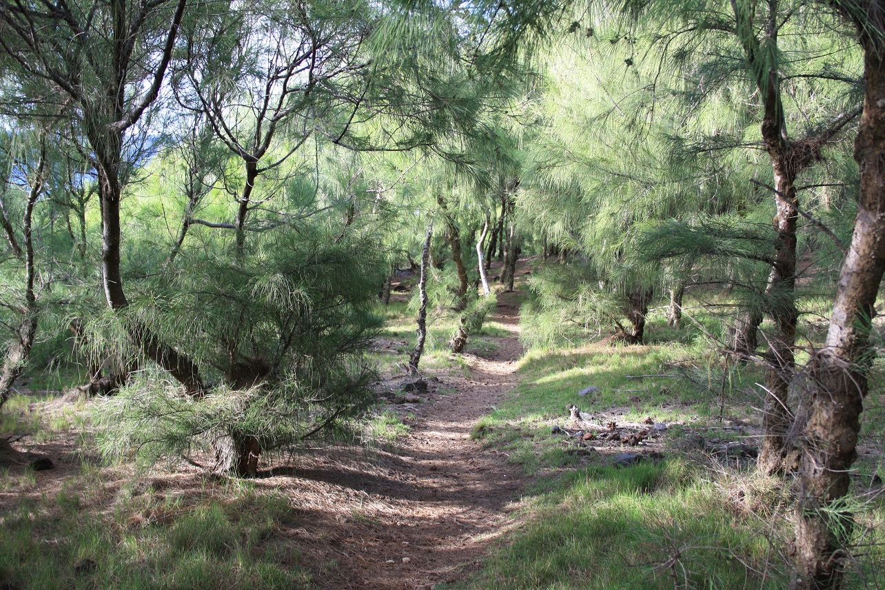 Sentier
