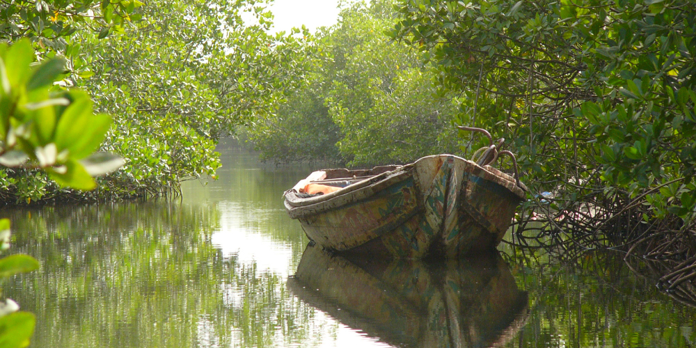 Indalo_Senegal_Casamance-bolong