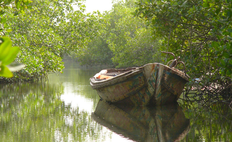 Indalo_Senegal_Casamance-bolong-815x500