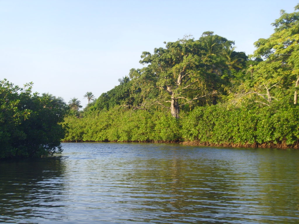 Indalo_Senegal_Casamance-fleuve