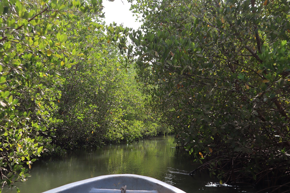 Indalo_Senegal_Casamance_Bolong2