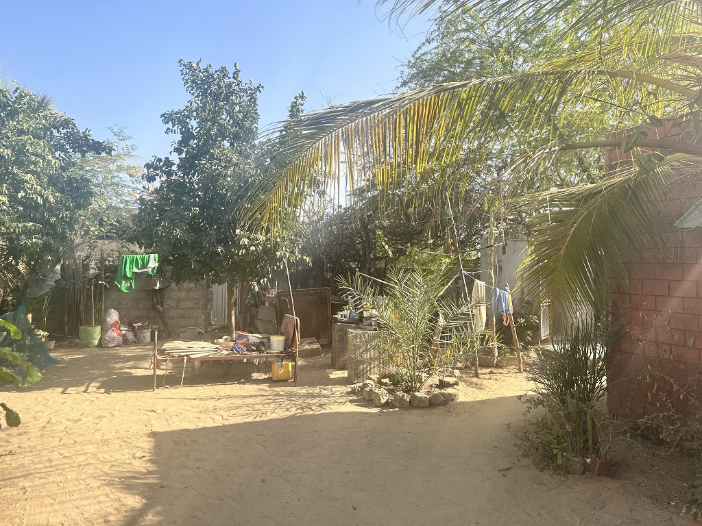 Indalo_Senegal_Djilor-famille