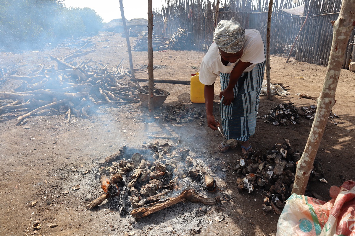 Indalo_Senegal_Eloubaline-huitres