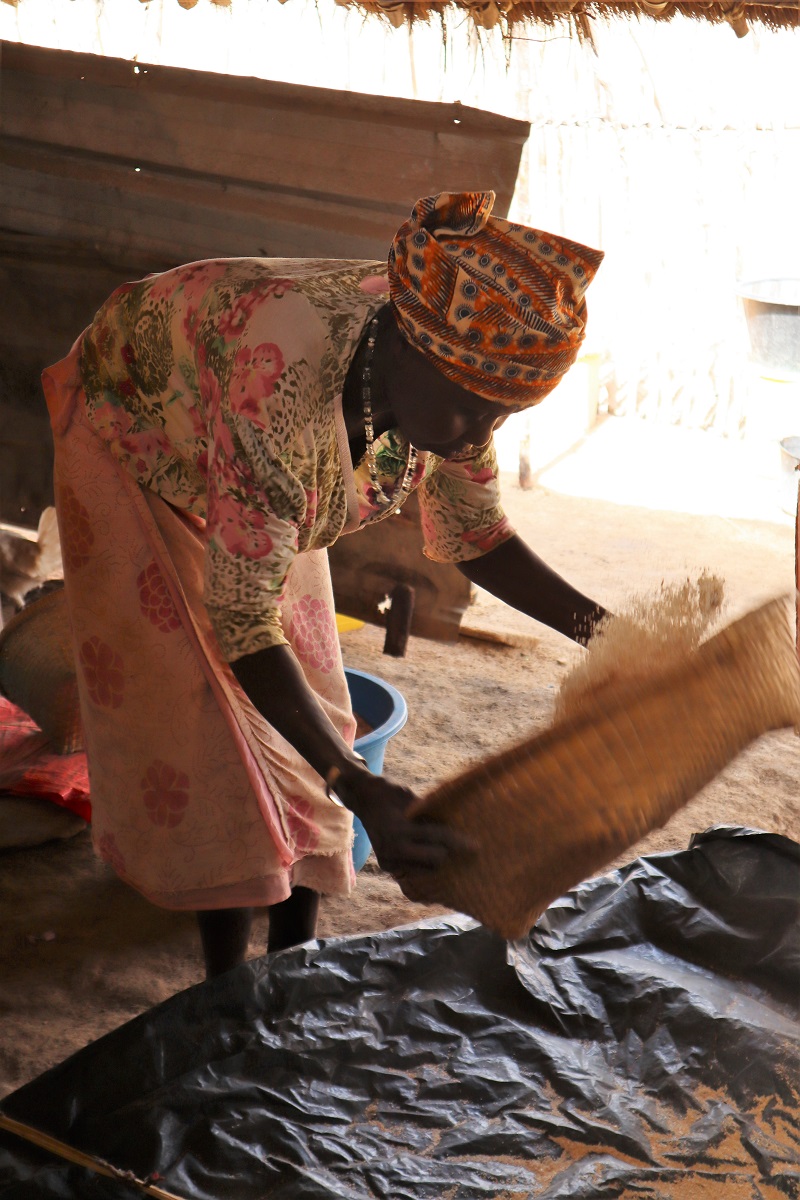 Indalo_Senegal_Eloubaline-riz