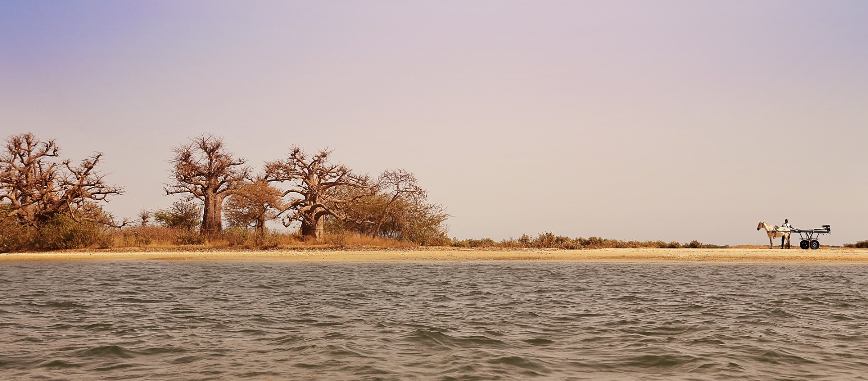 Parc national du delta du Sine Saloum (Sénégal)