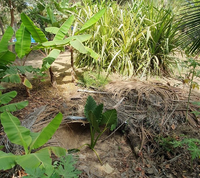 Indalo_Senegal_Fred-jardin1-692x618