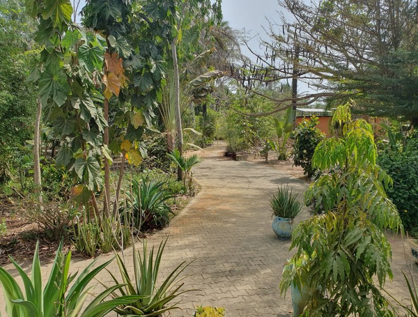 Indalo_Senegal_Fred-jardin4-815x618