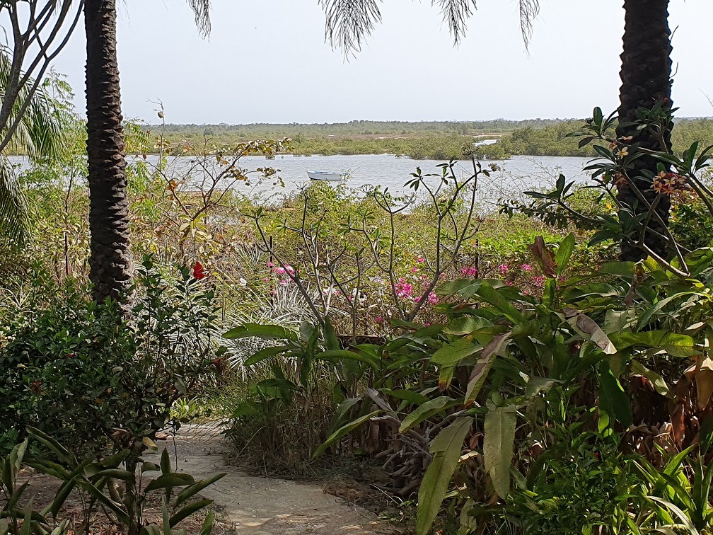 Indalo_Senegal_Fred-terrasse