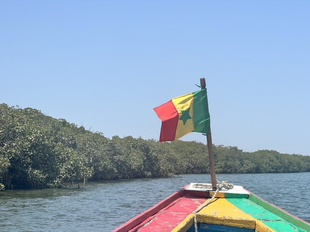 Delta du Saloum