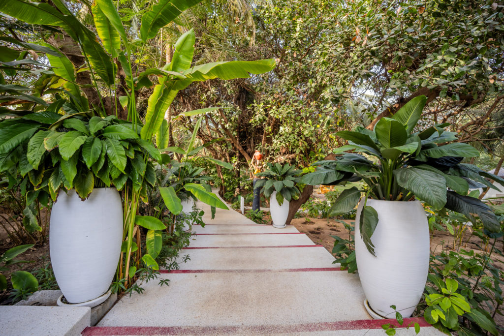Jardin