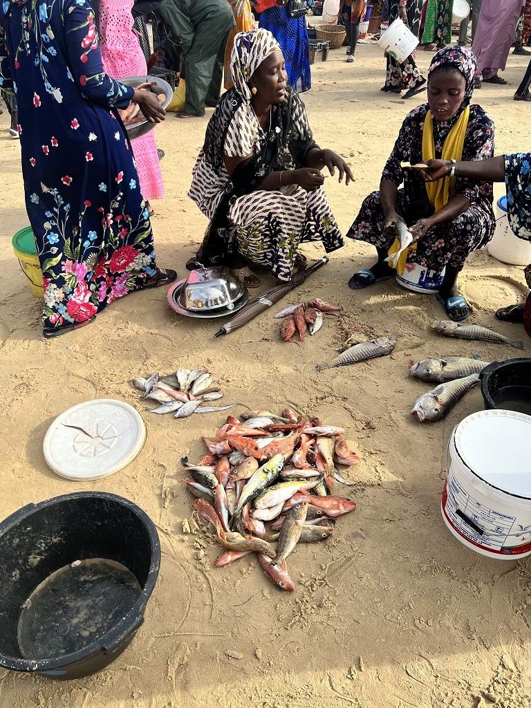 Indalo_Senegal_Kayar-peche