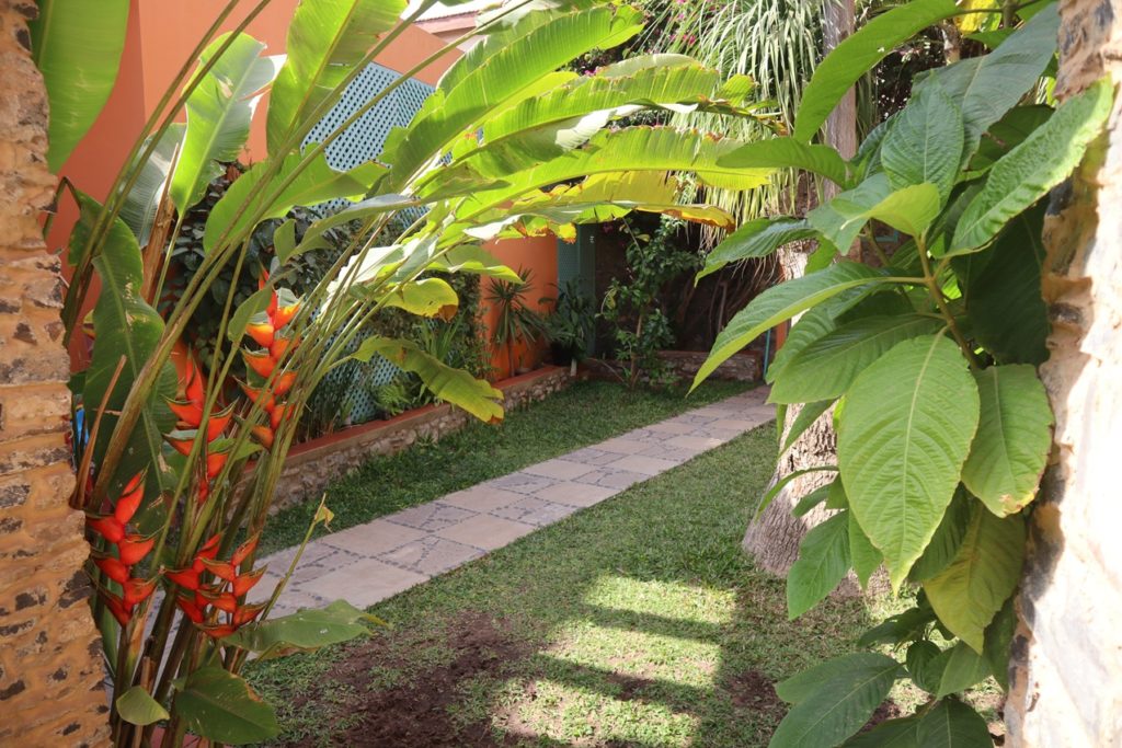 Jardin