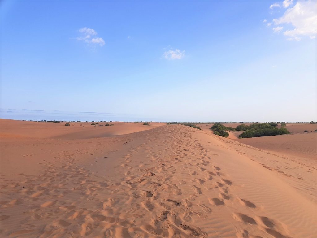 Indalo_Senegal_Lompoul-dunes