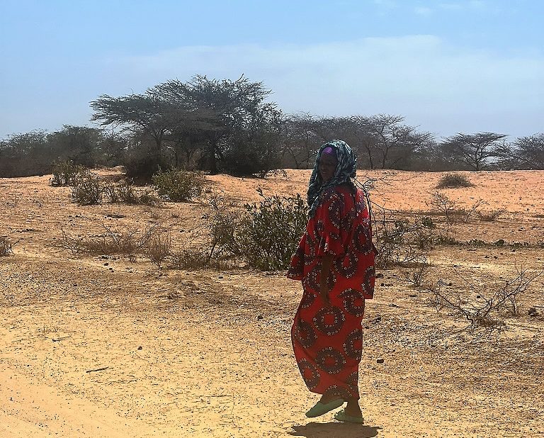 Indalo_Senegal_Nord-femme-768x618