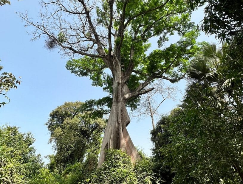 Indalo_Senegal_Rando-Casamance-815x618