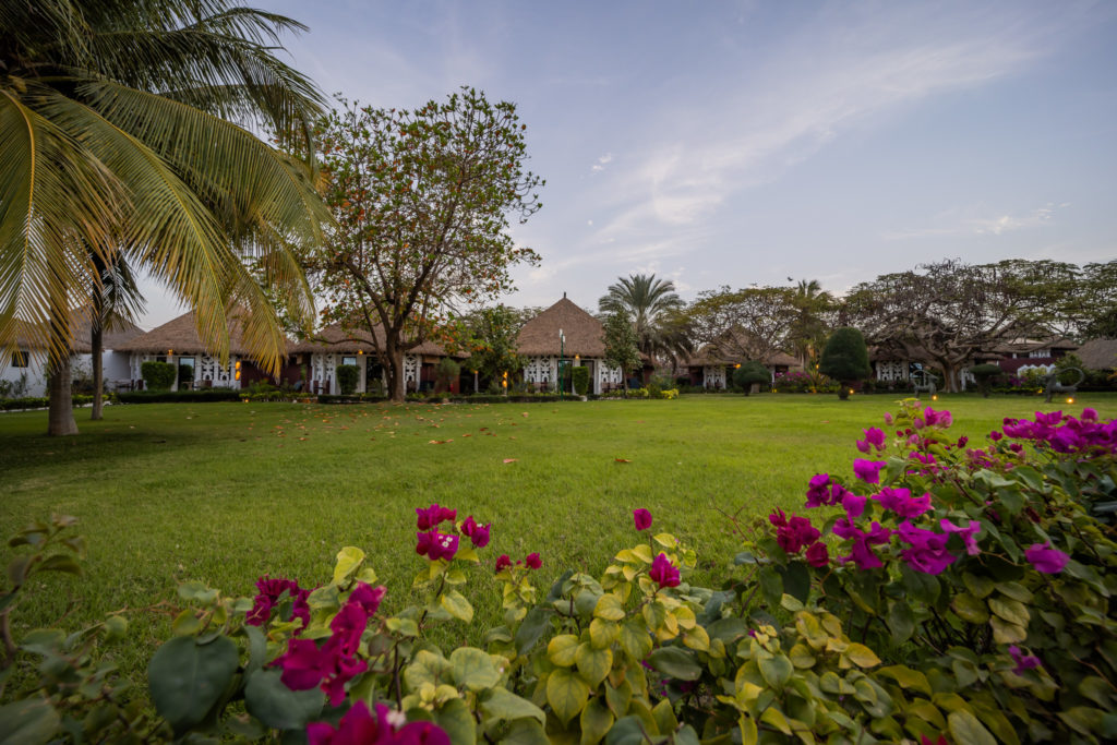 Jardin