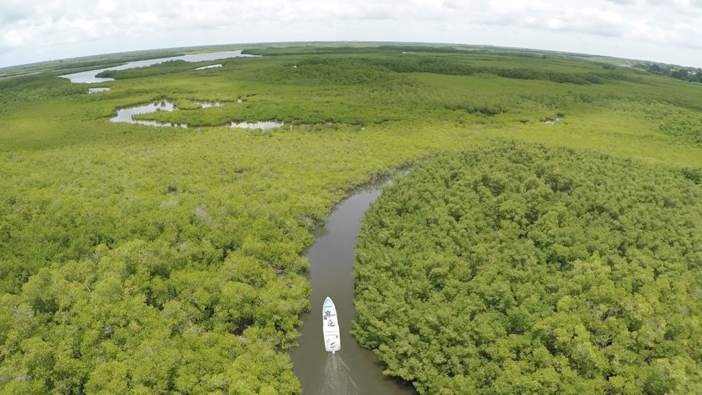 Indalo_Senegal_Saloum-aerienne