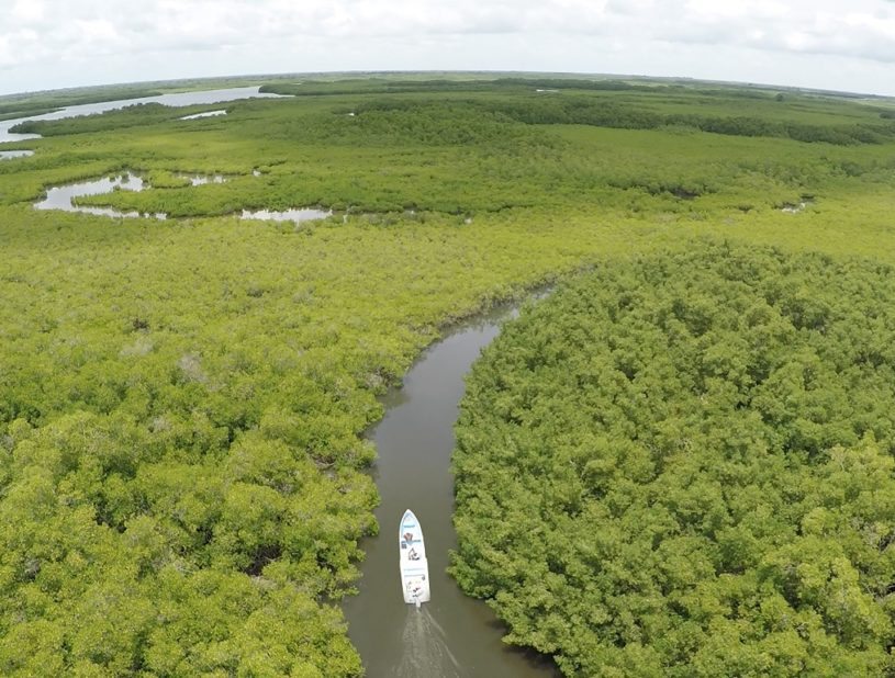 Indalo_Senegal_Saloum-aerienne-815x618