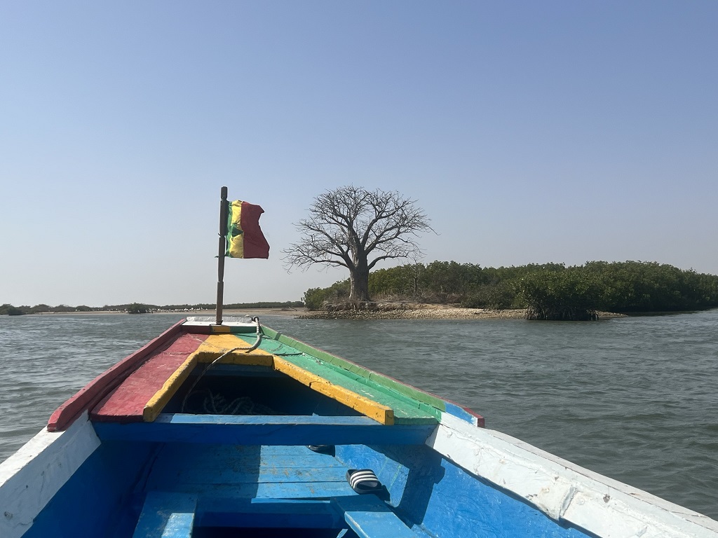 Indalo_Senegal_Saloum-baobab