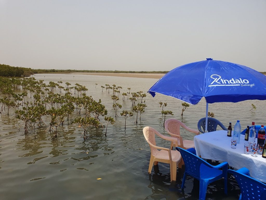 Indalo_Senegal_Saloum-table