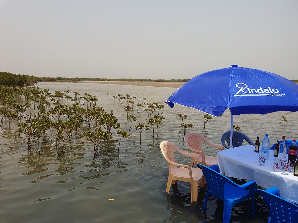 Indalo_Senegal_Saloum-table