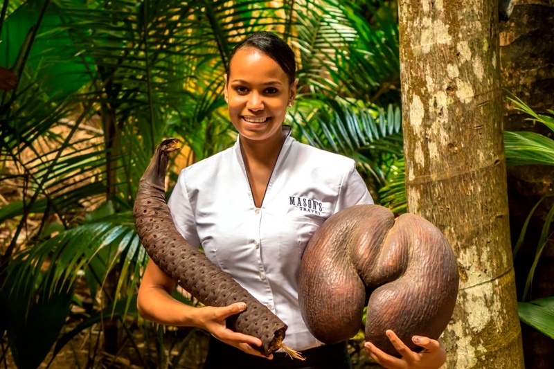 Indalo_Seychelles_Activite_Chauffeur-prive-guide