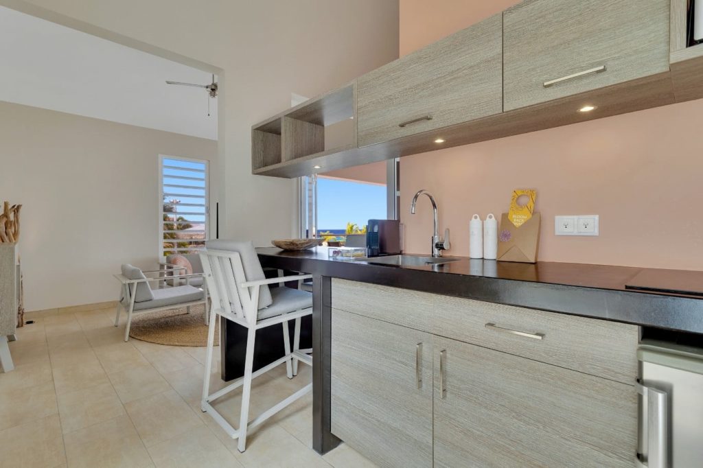 Appartement 1 Chambre
