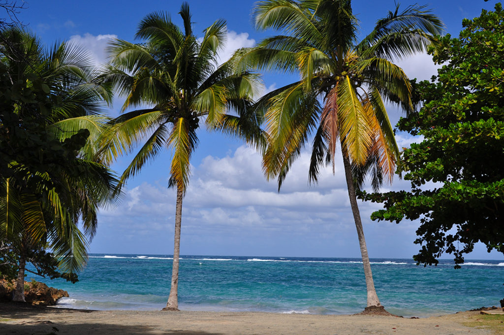 Plage