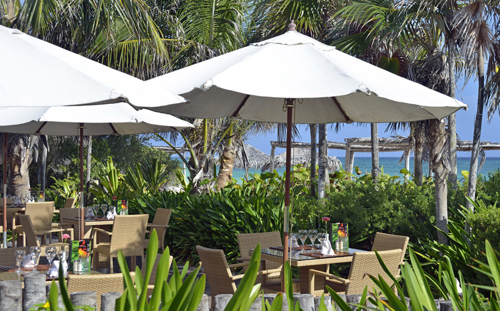 Restaurant grill « Arena Real »