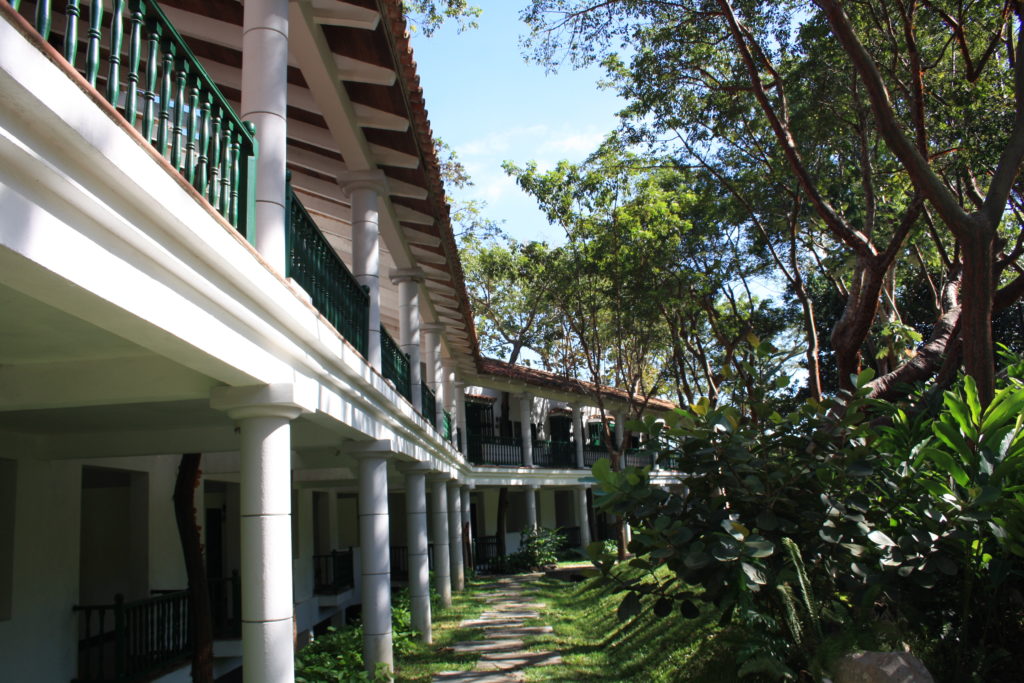 Jardin