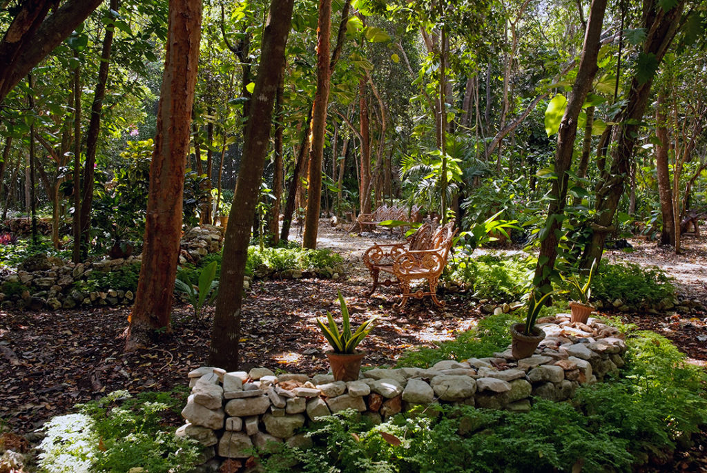 Jardin botanique