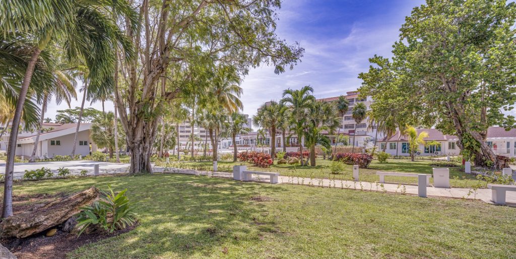Jardin