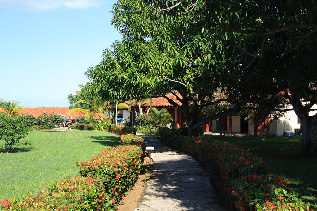 Jardin