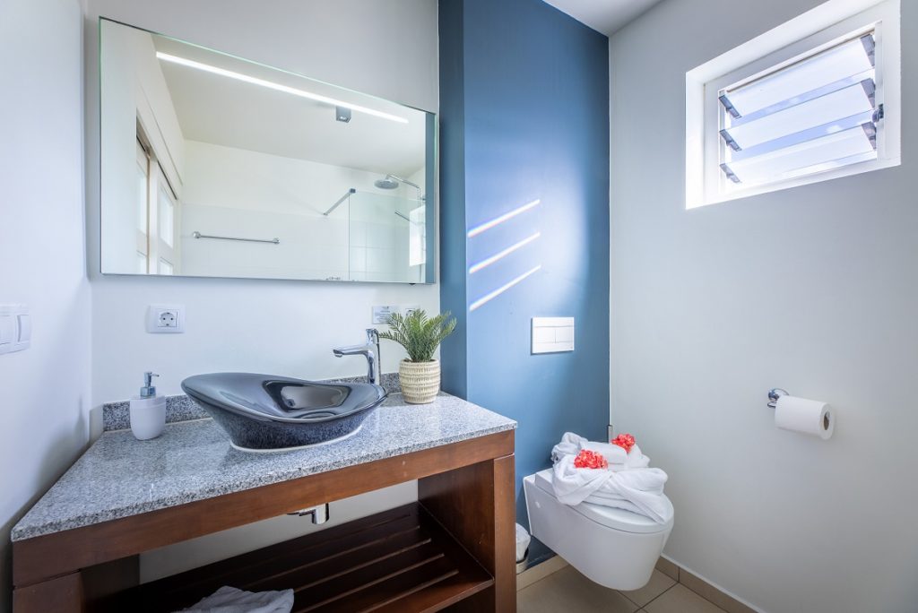 Suite Deluxe Vue Jardin