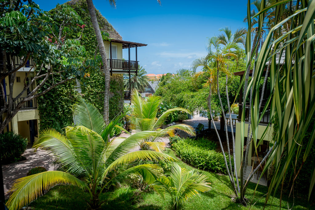 Jardin