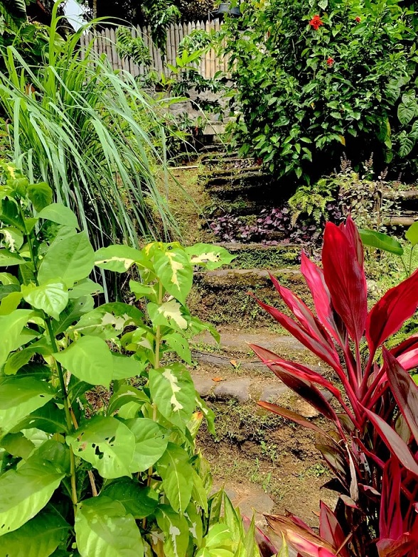 Jardin