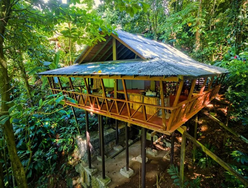 Tree House