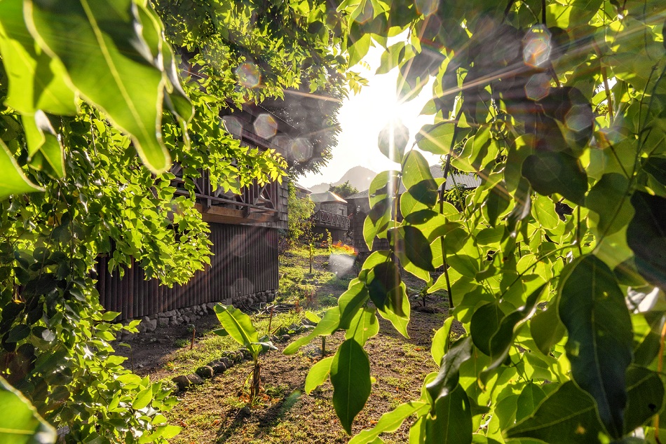 Jardin