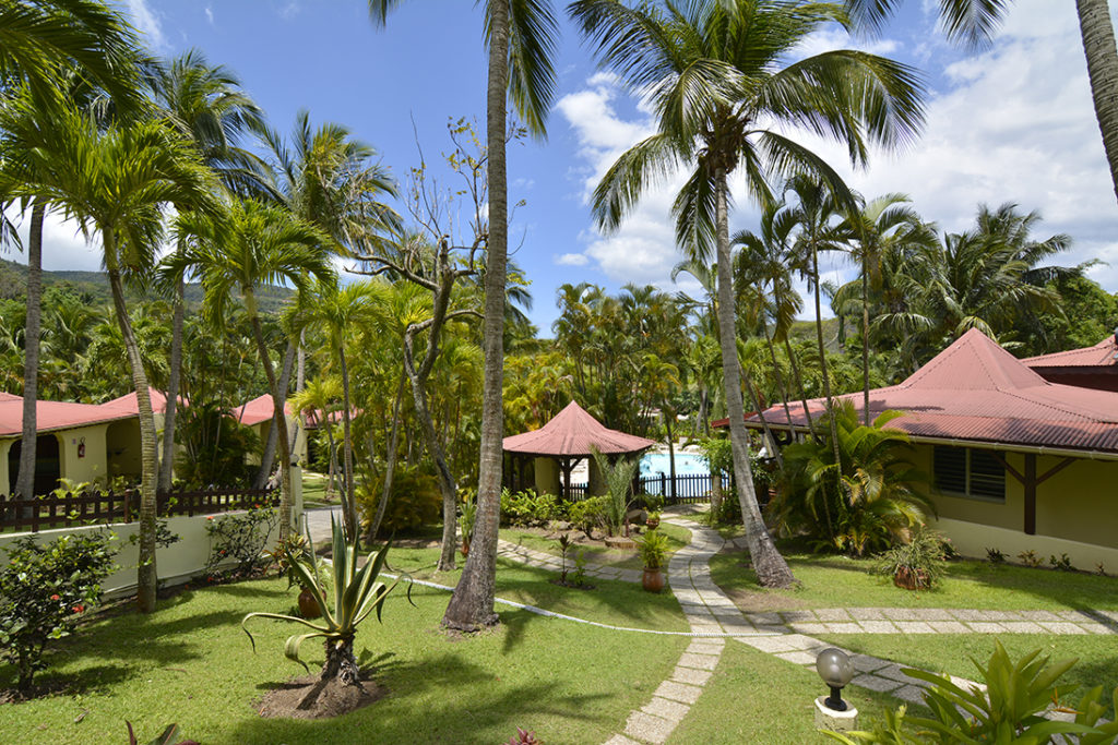 Jardin