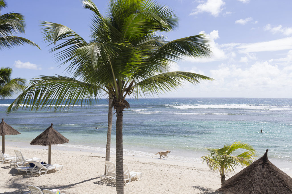 Plage