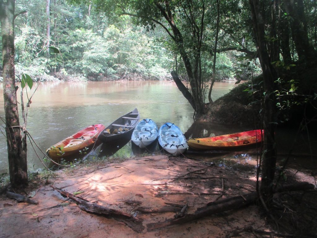 Kayaks