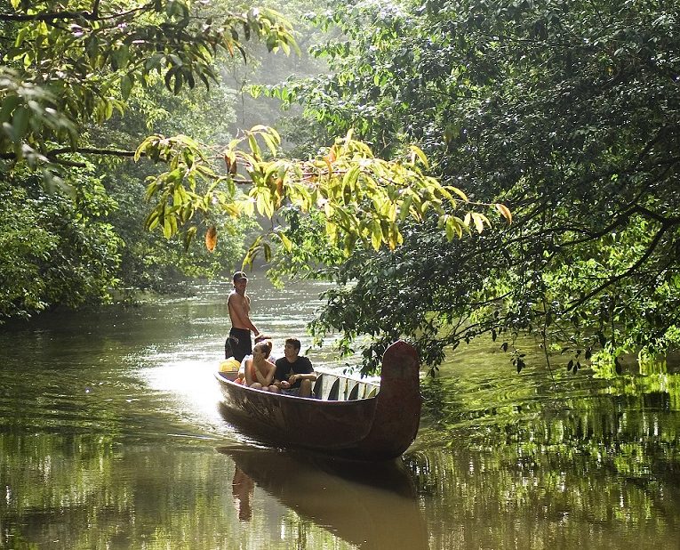 Pirogue