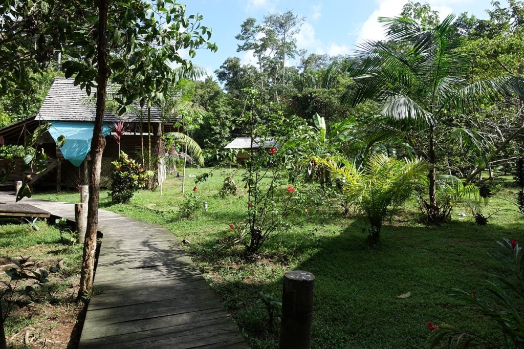 Jardin