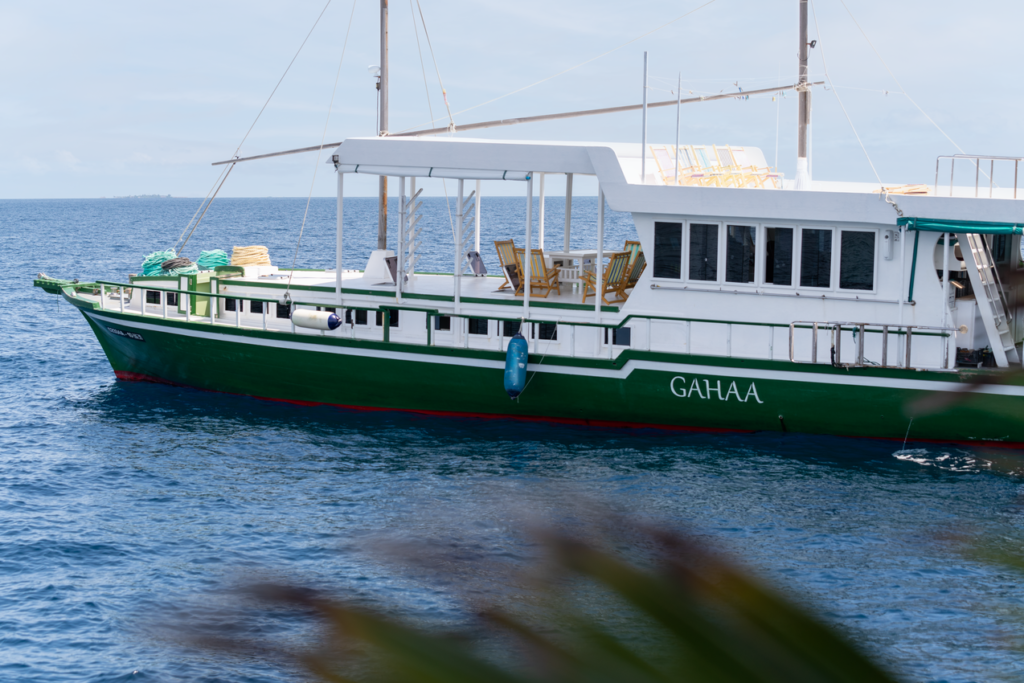 Indalo_Maldives_Croisiers Privees_Gahaa