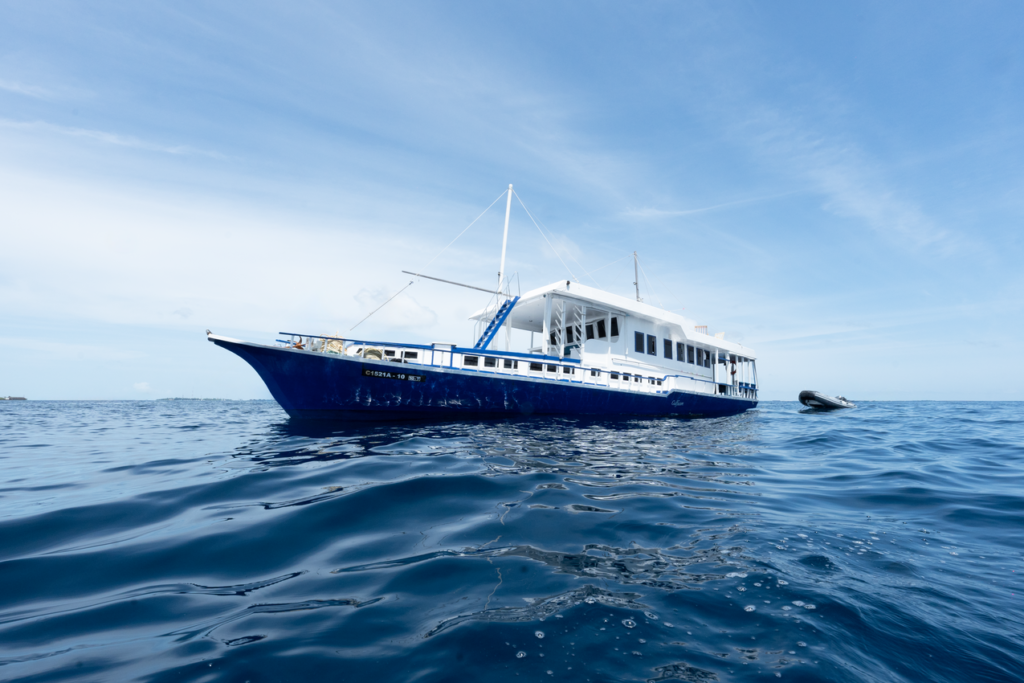 Indalo_Maldives_Croisiers Privees_Gulfaam