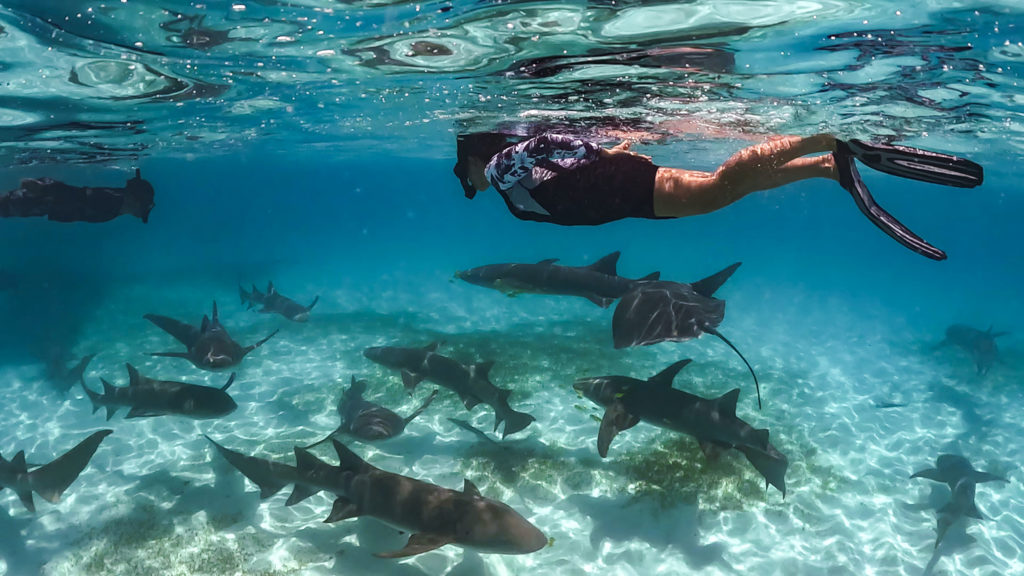 Indalo_Maldives_Kanuhura_Sport-snorkeling