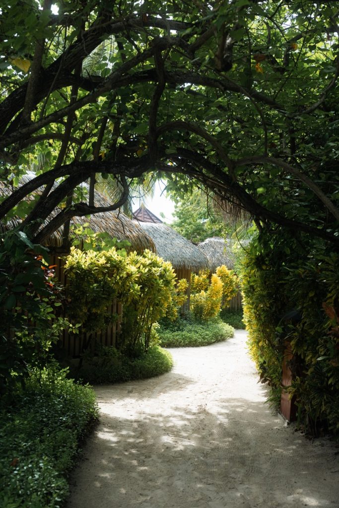 Indalo_Maldives_Komandoo_Jardin