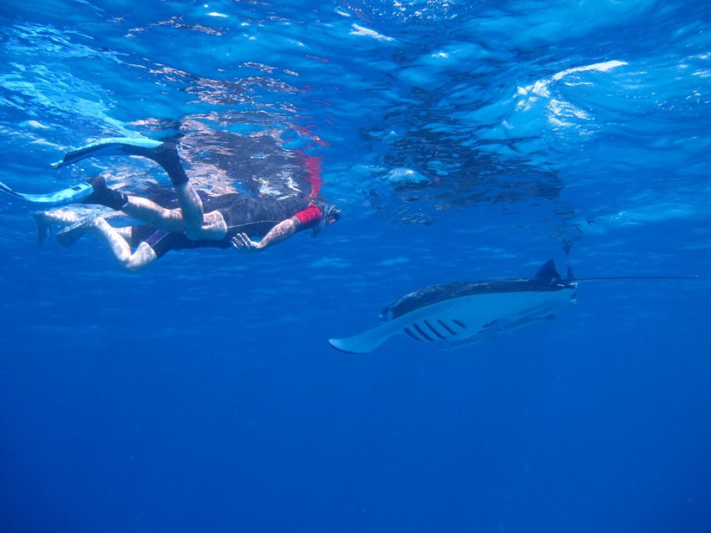 Indalo_Maldives_Kudafushi_Sport