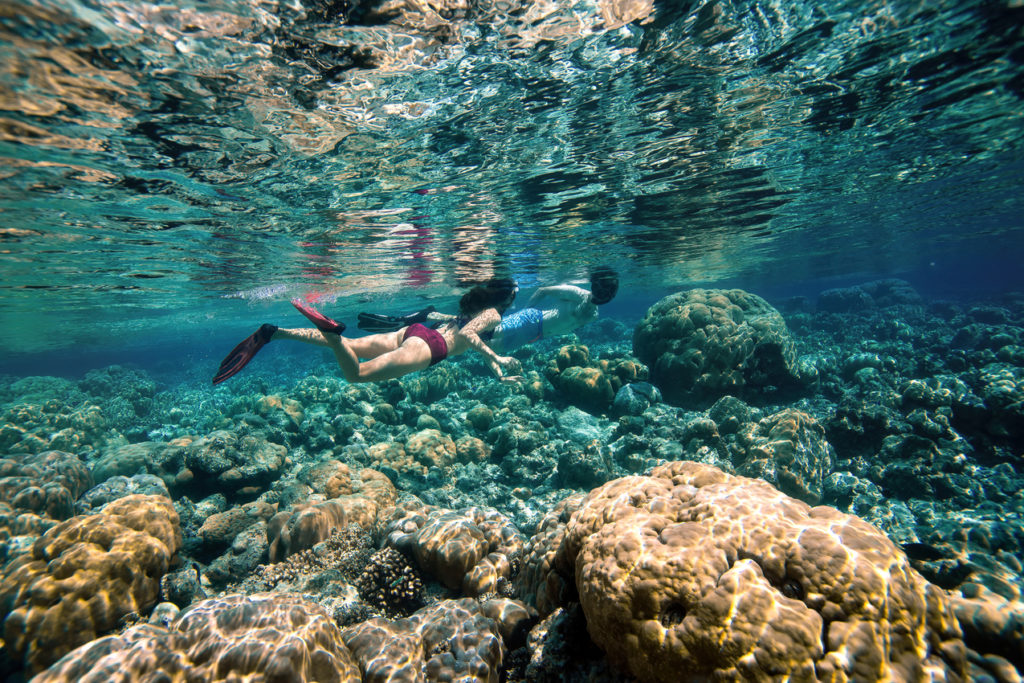 Indalo_Maldives_Milaidhoo_Sport-snorkeling
