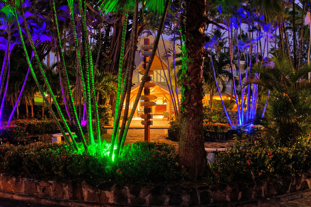 Jardin